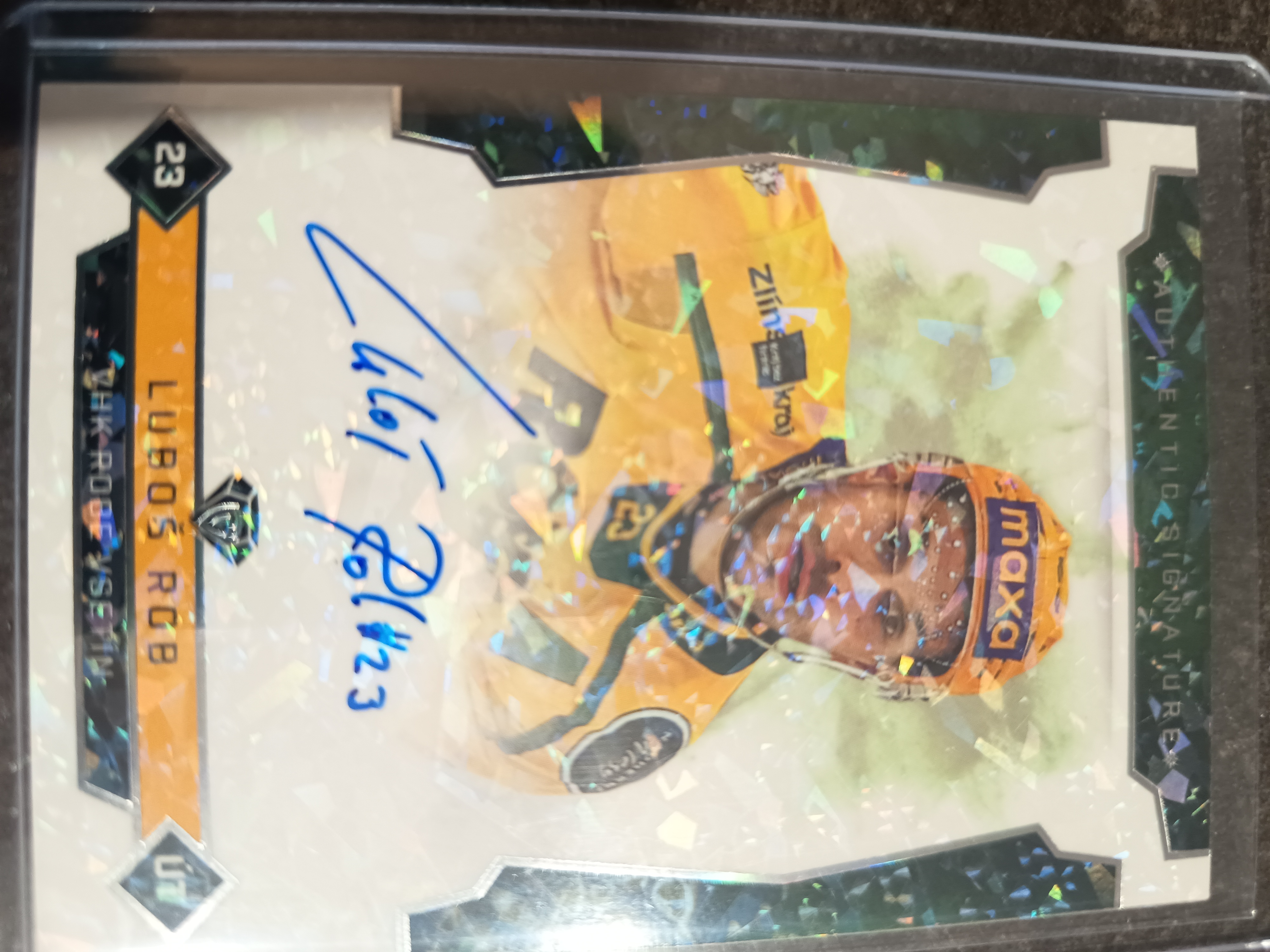 Authentic Signature xx/10