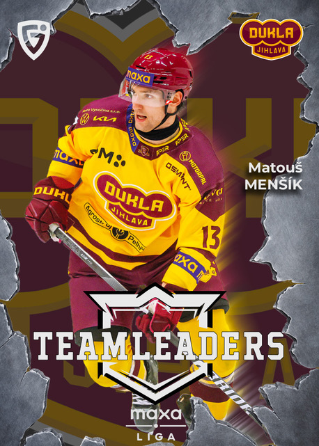 Team Leaders