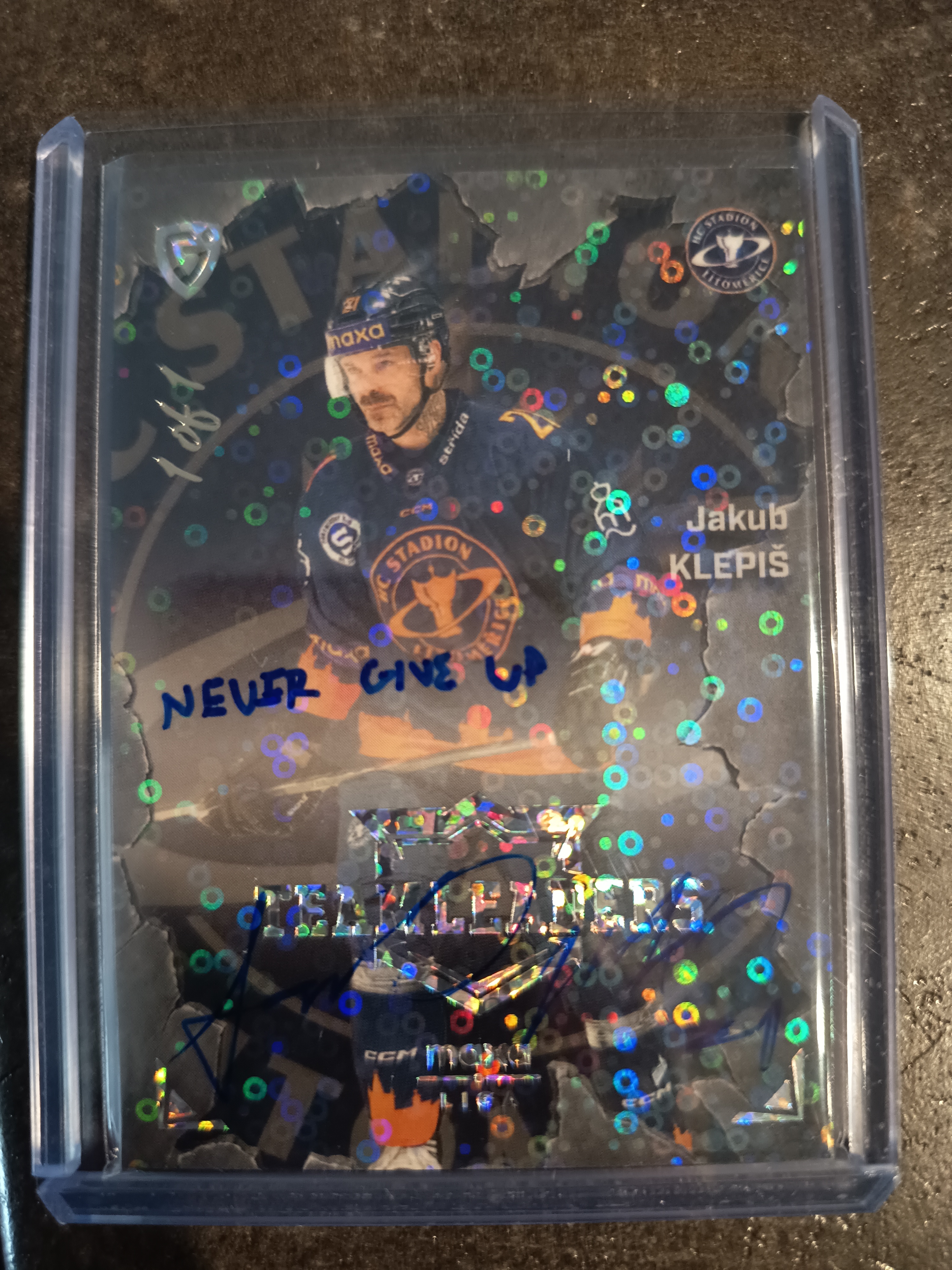Team Leaders Signature 1of1