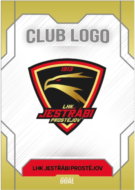 Logo insert