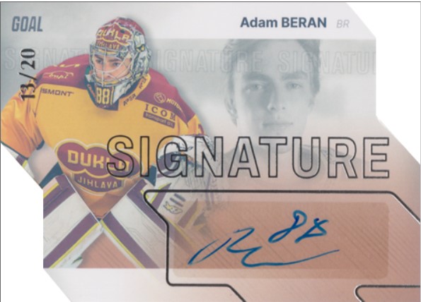 Signature x/20