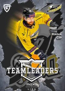 Radek Číp Teamleaders