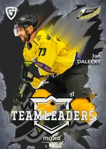 Jan Dalecký Teamleaders