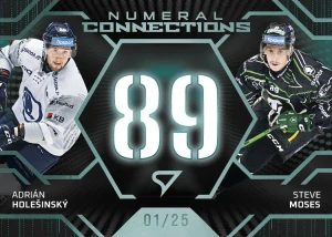 Adrian Holešinský Plzeň Steve Moses Mladá Boleslav Numeral connections 22/25 25/26