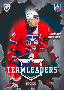 Ladislav Bittner Teamleaders