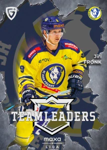 Jiří Fronk Teamleaders
