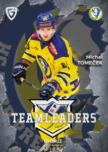 Michal Tomeček Teamleaders