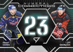 Brant Harris České Budějovice Jiří Ondrůšek Olomouc NUmeral connections 25/26