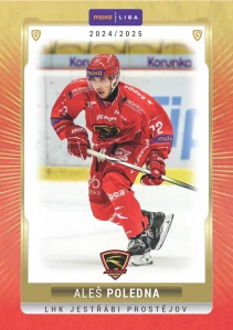 Aleš Poledna #9