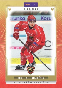 Michal Tomeček #11