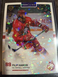 Filip Haman 2/6 Frýdek 25/26