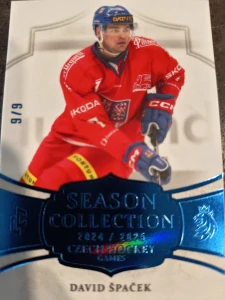 David Špaček Season Collection Blue 9/9
