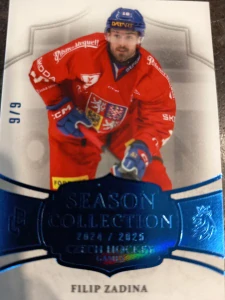 Filip Zadina Season Collection Blue 9/9