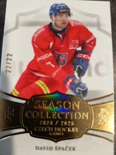David Špaček Season Collection Gold 22/22