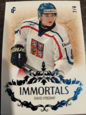 David Výborný Immortals blue 02/6