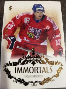 Václav Nedorost Immortals gold 25/30