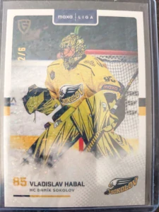 Vladislav Habal  2/6 Sokolov 25/26