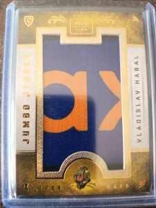 Vladislav Habal Stick 09/10 Sokolov 2/3