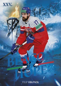 Filip Hronek Beacon of Hope