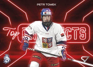 Petr Tomek Top prospects