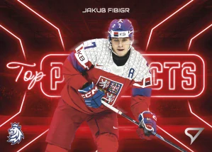 Jakub Fibigr Top prospects