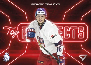 Richard Žemlička Top prospects