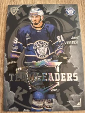 Jan Veselý Teamleaderers limit 15