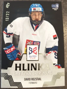 David Rozsíval Hlinka Gretzky cup 13/22