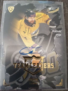 Radek Číp Teamleaders signature 9/25 Sokolov 25/26