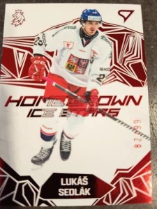 Lukáš Sedlák Homegrown Ice stars 82/99