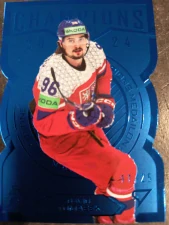 David Tomášek Champions  Blue 11/25