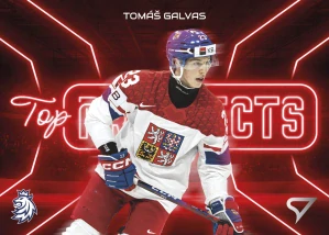 Tomáš Galvas Top prospects