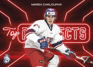 Marek Chaloupka Top prospects