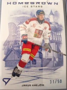 Jakub Krejčík Homegrown Ice stars stone blue 31/50