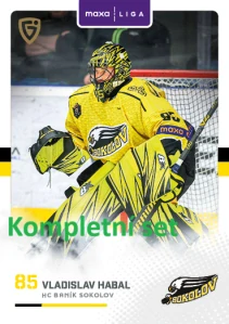 Sokolov Canvas kompletní set 14 ks