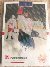 Petr Hamalčik 1of1 Slavie