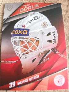Matyáš Netušil Team goalie 02/15 Slavie 25/26
