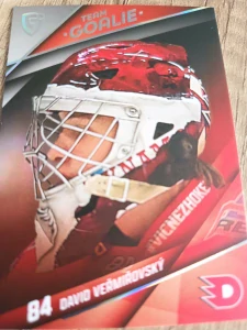 David Veřmiřovský Team goalie 04/15 Pardubice 25/26