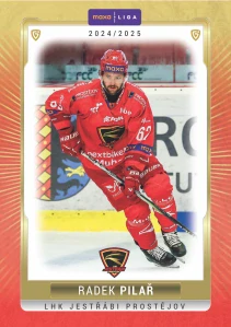 Radek Pilař   #18