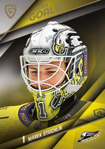 Marek Stuchlík Team goalie Sokolov 25/26