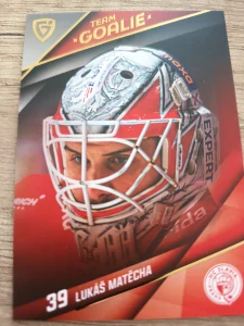 Lukáš Matěcha Team goalie Slavie 25/26