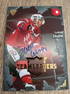 Lukáš Žalčík Teamleaders signature limit 25