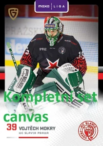 Kompletní set Canvas Slavie 18 ks 25/26
