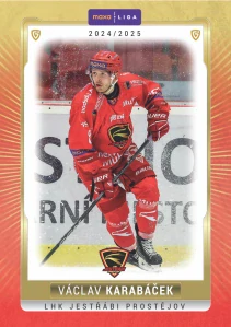 Václav Karabáček    #19