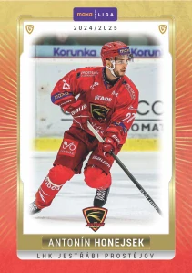 Antonín Honejsek     #20