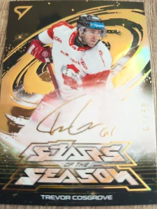 Trevor Cosgrove Stars of season golden script 41/50 25/26 Play off