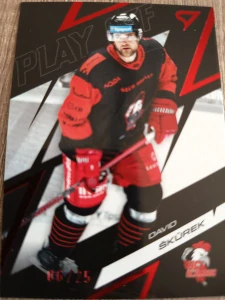 David Škůrek Olomouc Play off ruby red 06/25 25/26 Play off