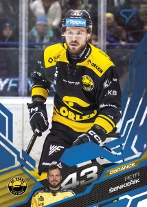 Petr Šenkeřík Litvínov Azure Blue 25/26 Play off