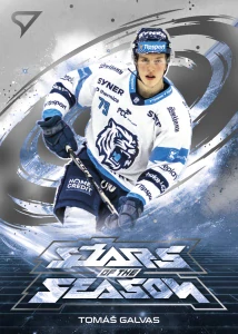 Tomáš Galvas Liberec Stars of the season 25/26 Play off