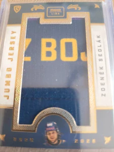 Zdeněk Sedlák Jumbo jersey 3/7 Zlín 25/26 2. série